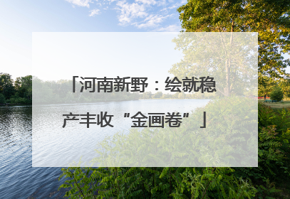 河南新野：绘就稳产丰收“金画卷”